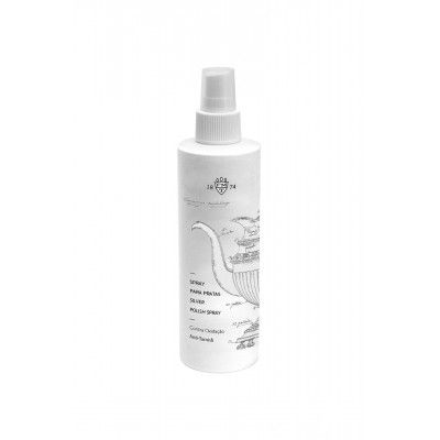 Spray Limpeza Prata Spray Limpeza Prata