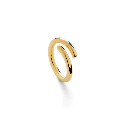 Ring Rendezvous - Golden Ring Rendezvous - Golden