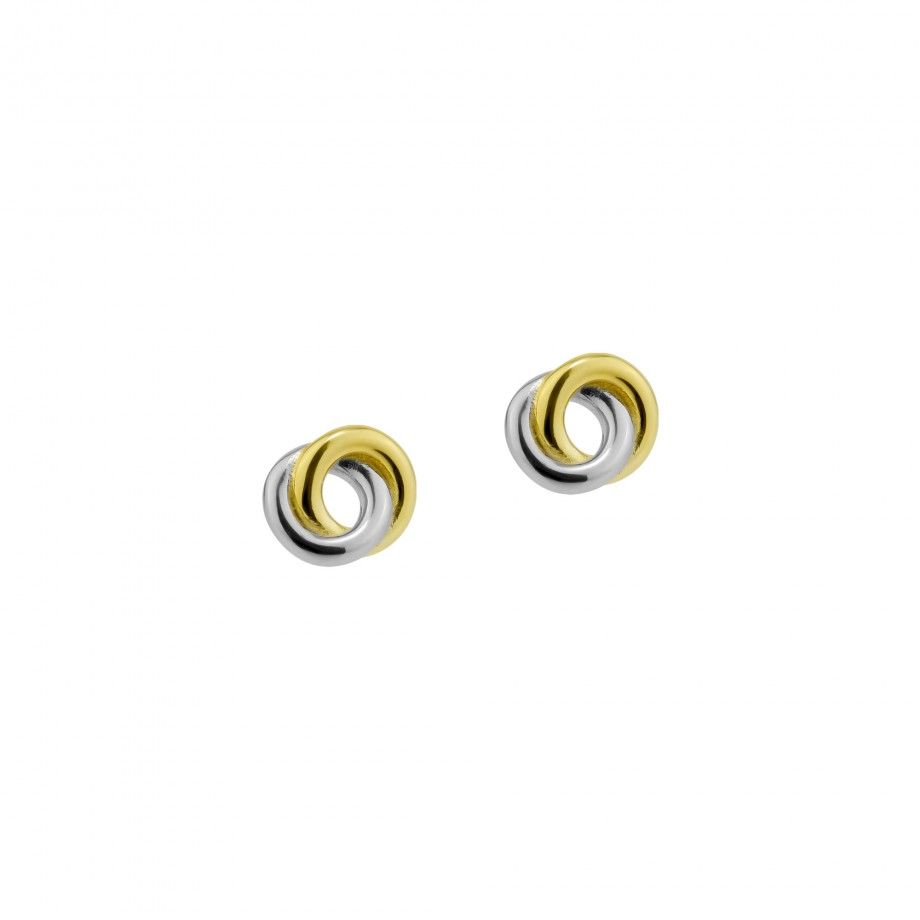 Earrings Bicolor