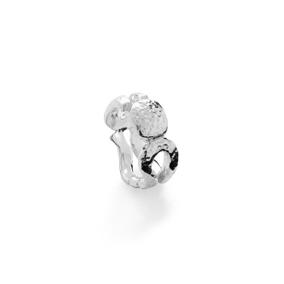 Ring Piscis 