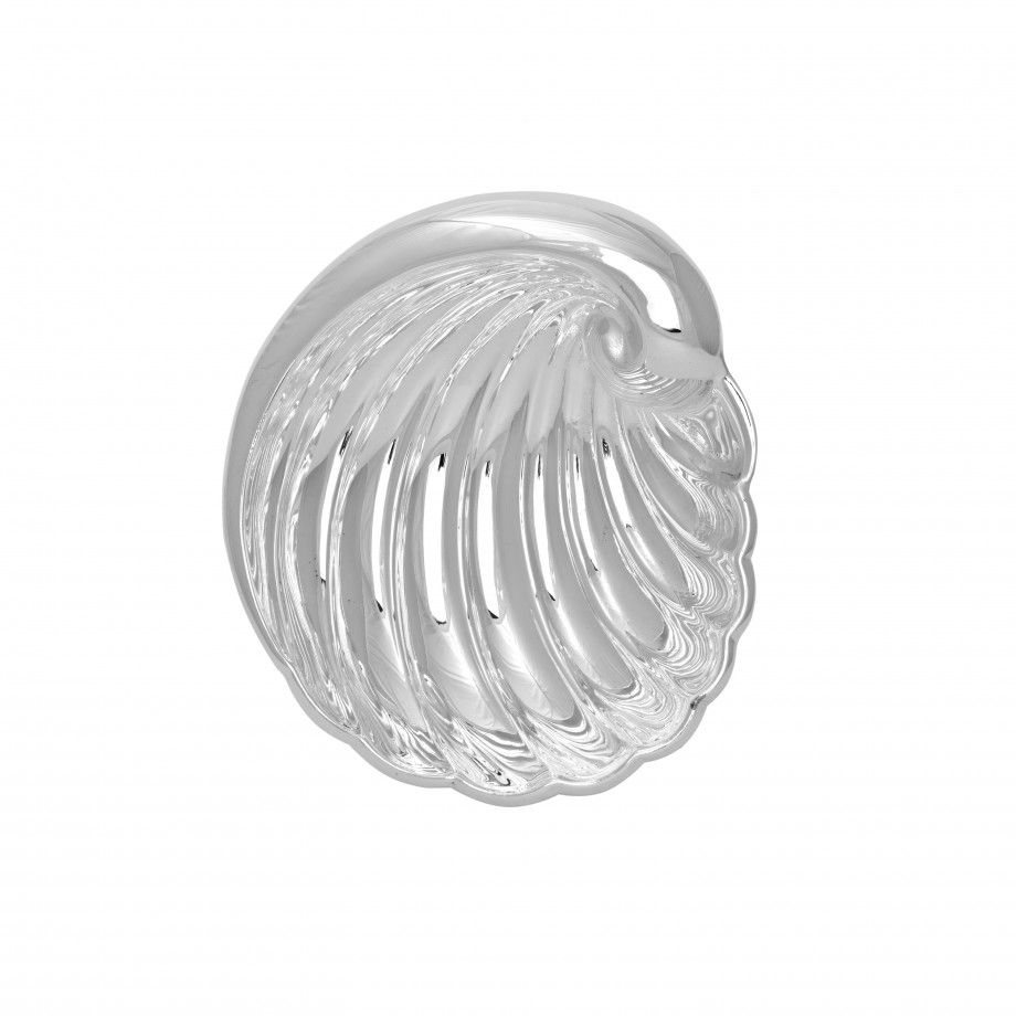 Baptismal Shell Onda