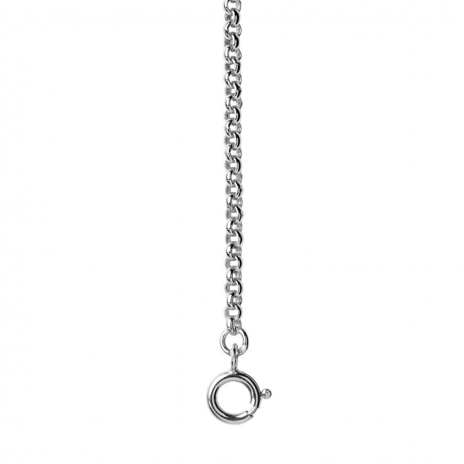Silver Chain