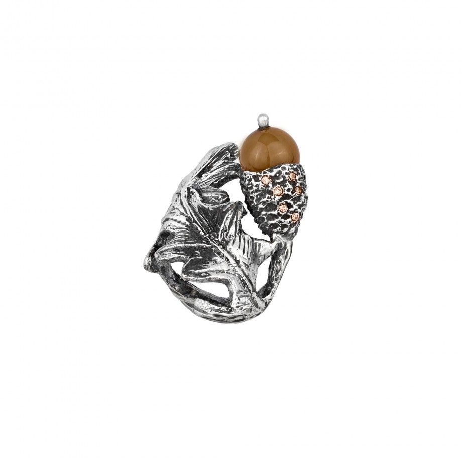 Ring Aconr