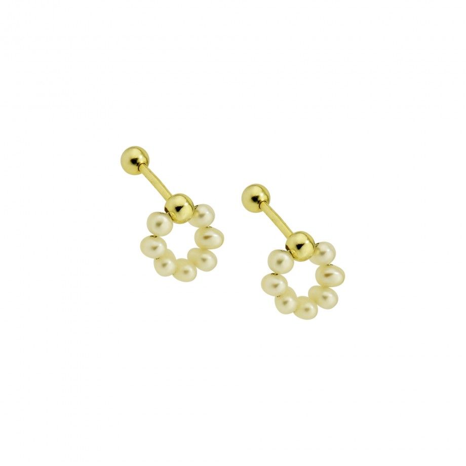 Earrings Ciello