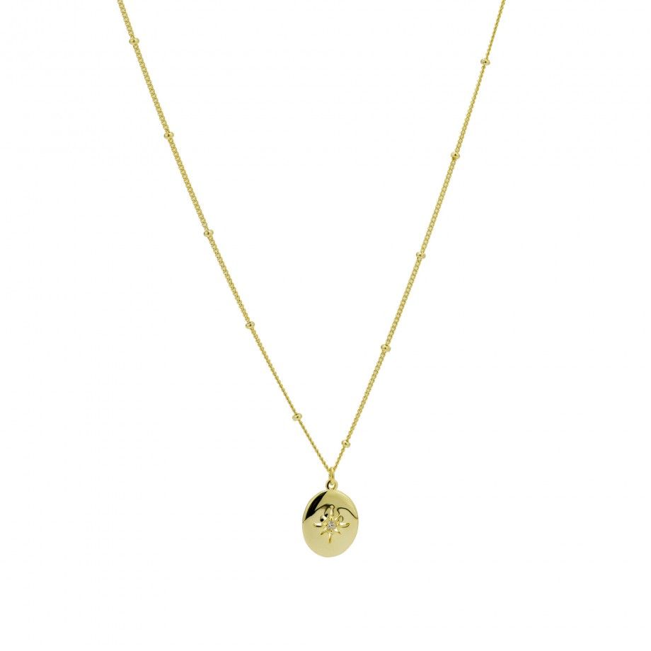Colar Medalha Oval com Estrela