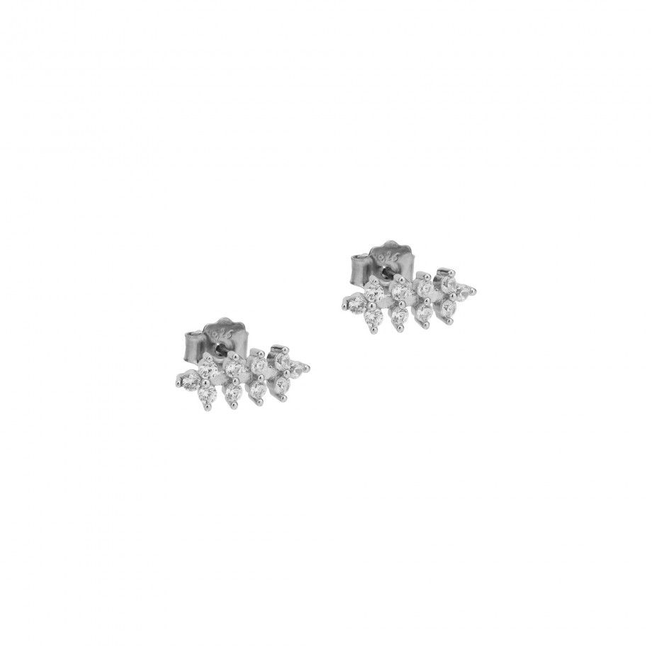 Brincos Folhas de Zirc�nias