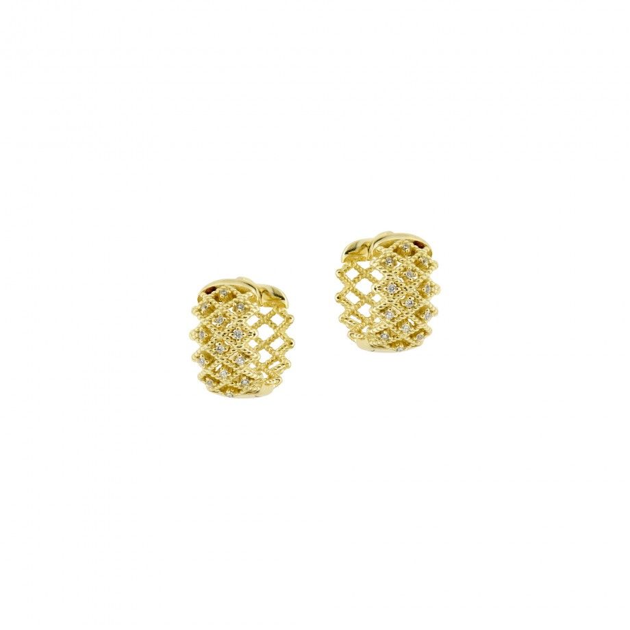 Hoop Earrings Net