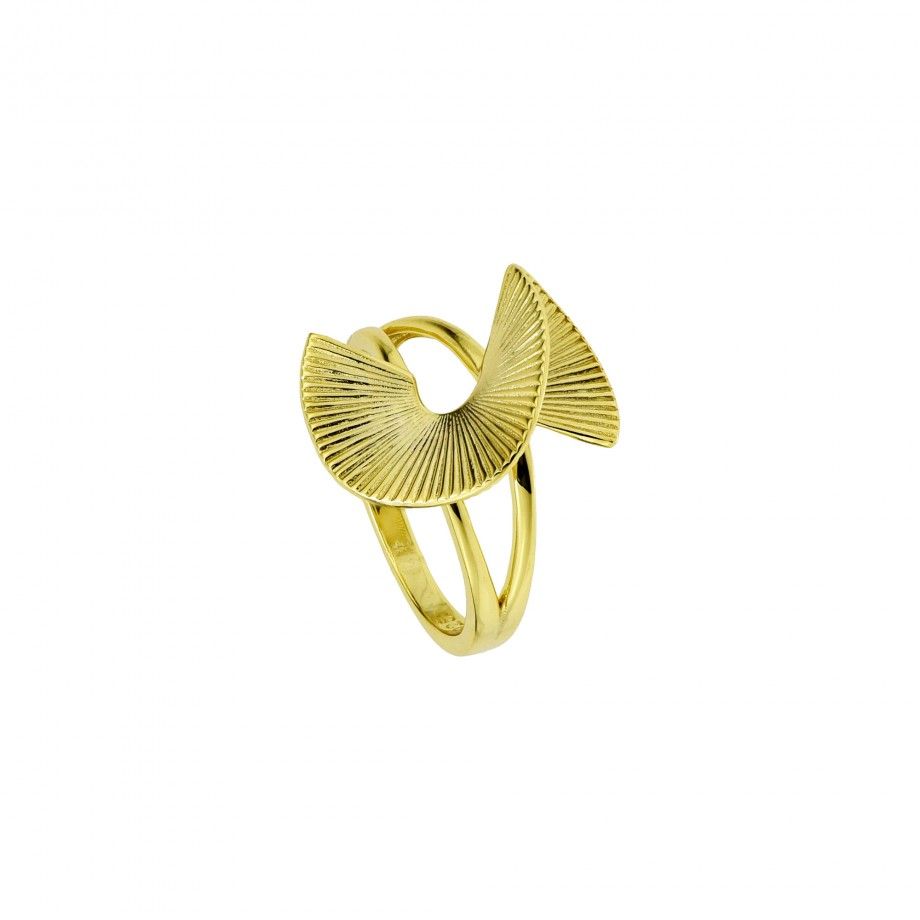 Ring Catari