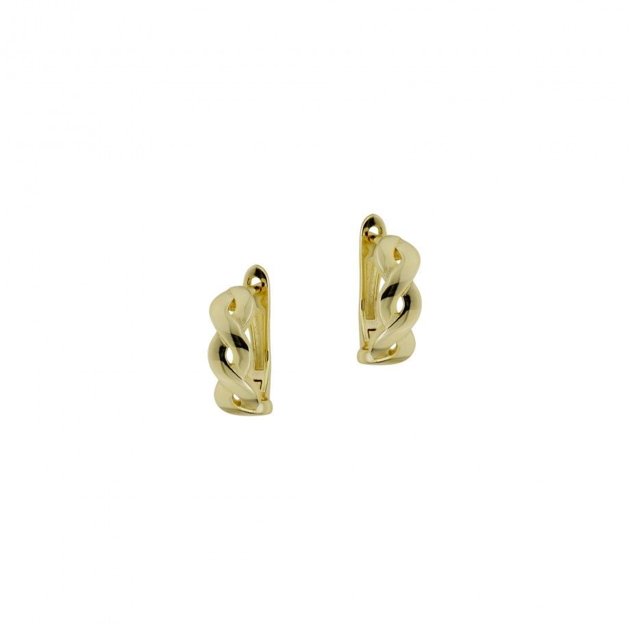 Earrings Braid