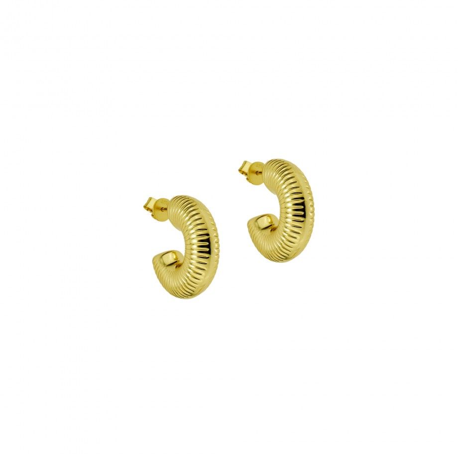 Hoop Earrings Barletta