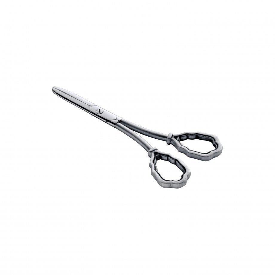 Grapes Scissors S�c XVII 