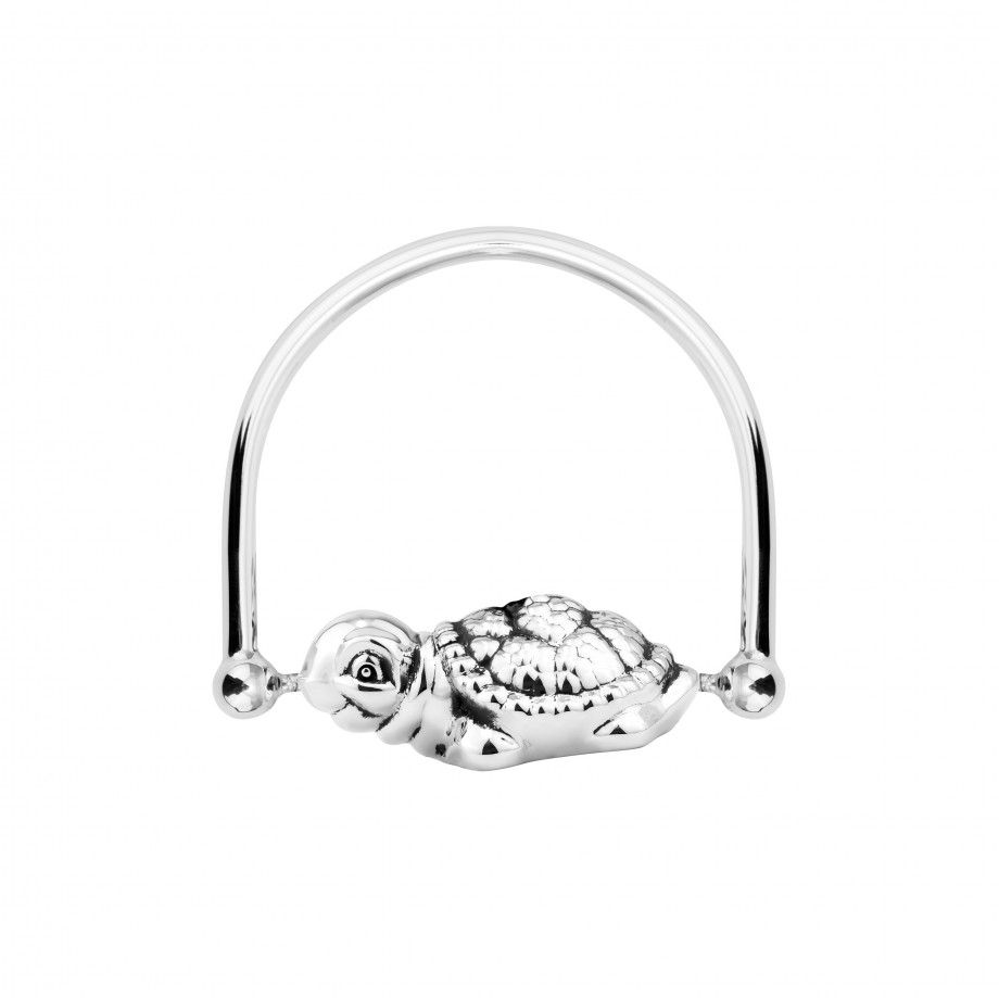 Rotation Rattle Turtle